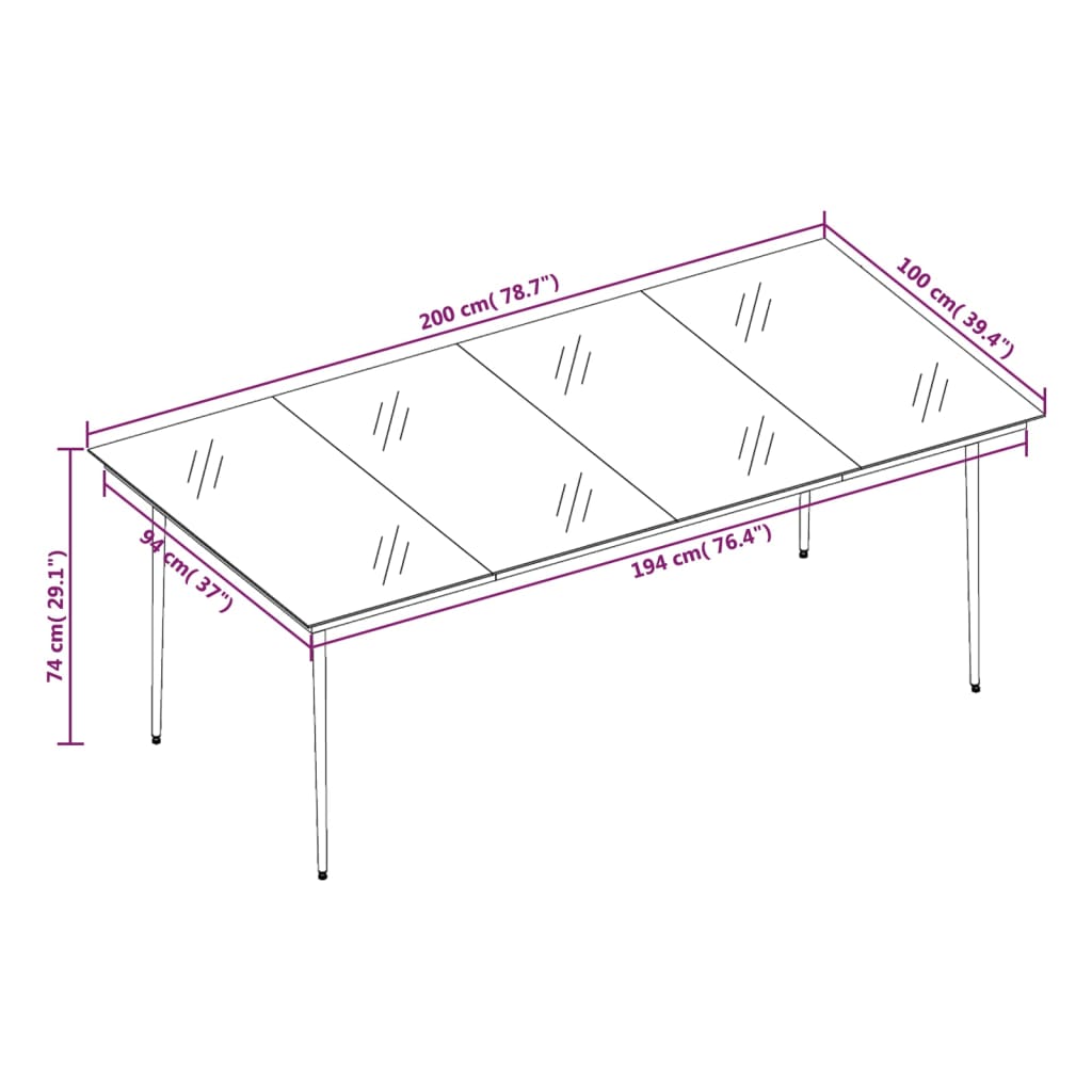 Tuintafel 200x100x74 cm staal en glas zwart